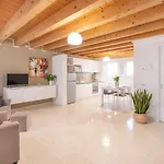 Ca' Degli Antichi Giardini מלון דירות ונציה